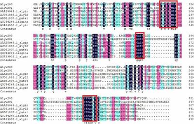 Secretory Expression of an Alkaline Alginate Lyase With Heat Recovery Property in Yarrowia lipolytica